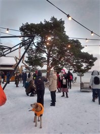 26/11 2023 Foto: Nilla Söderqvist