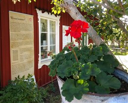 Foto: Nilla Söderqvist